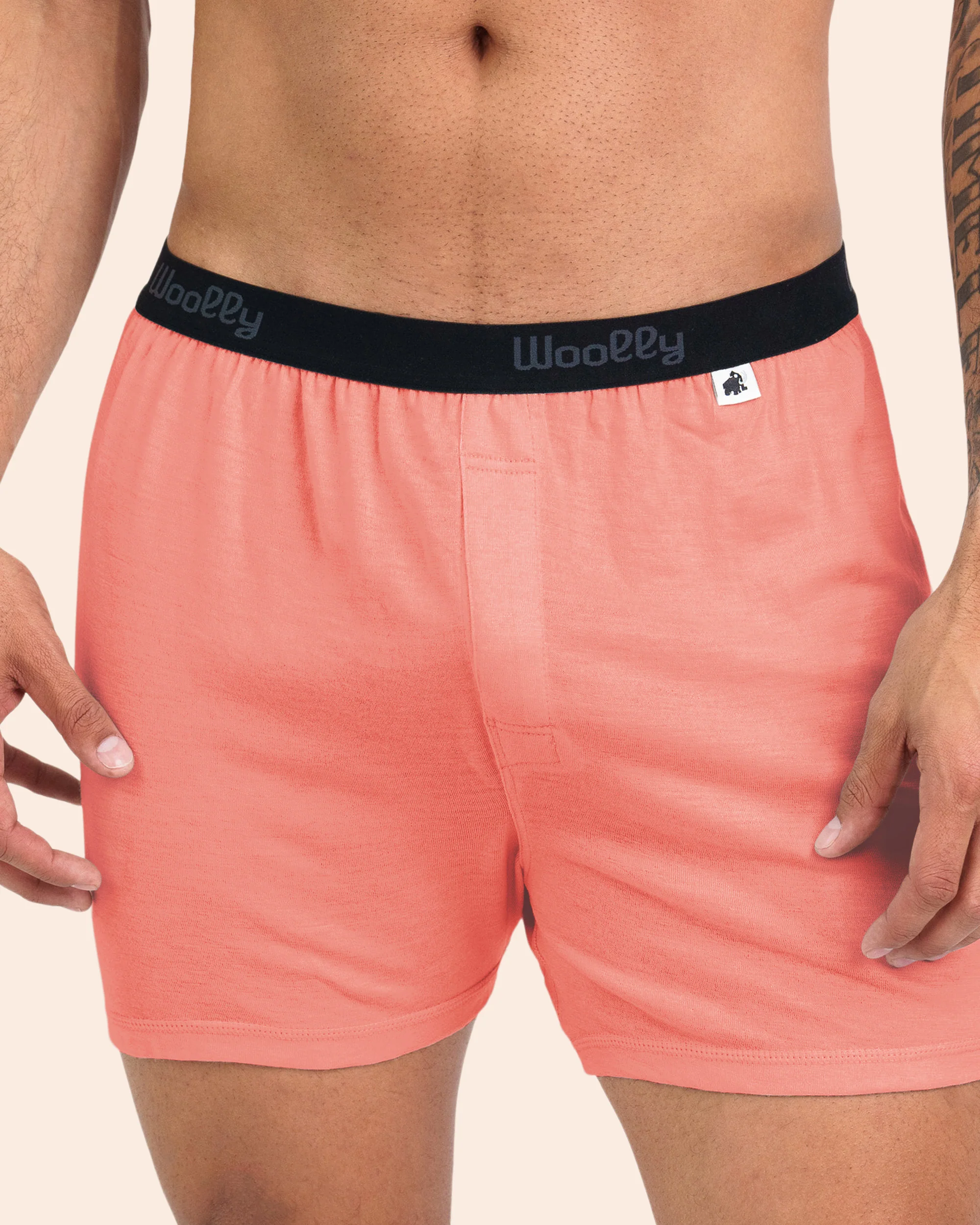 Classic Boxer - Image 10