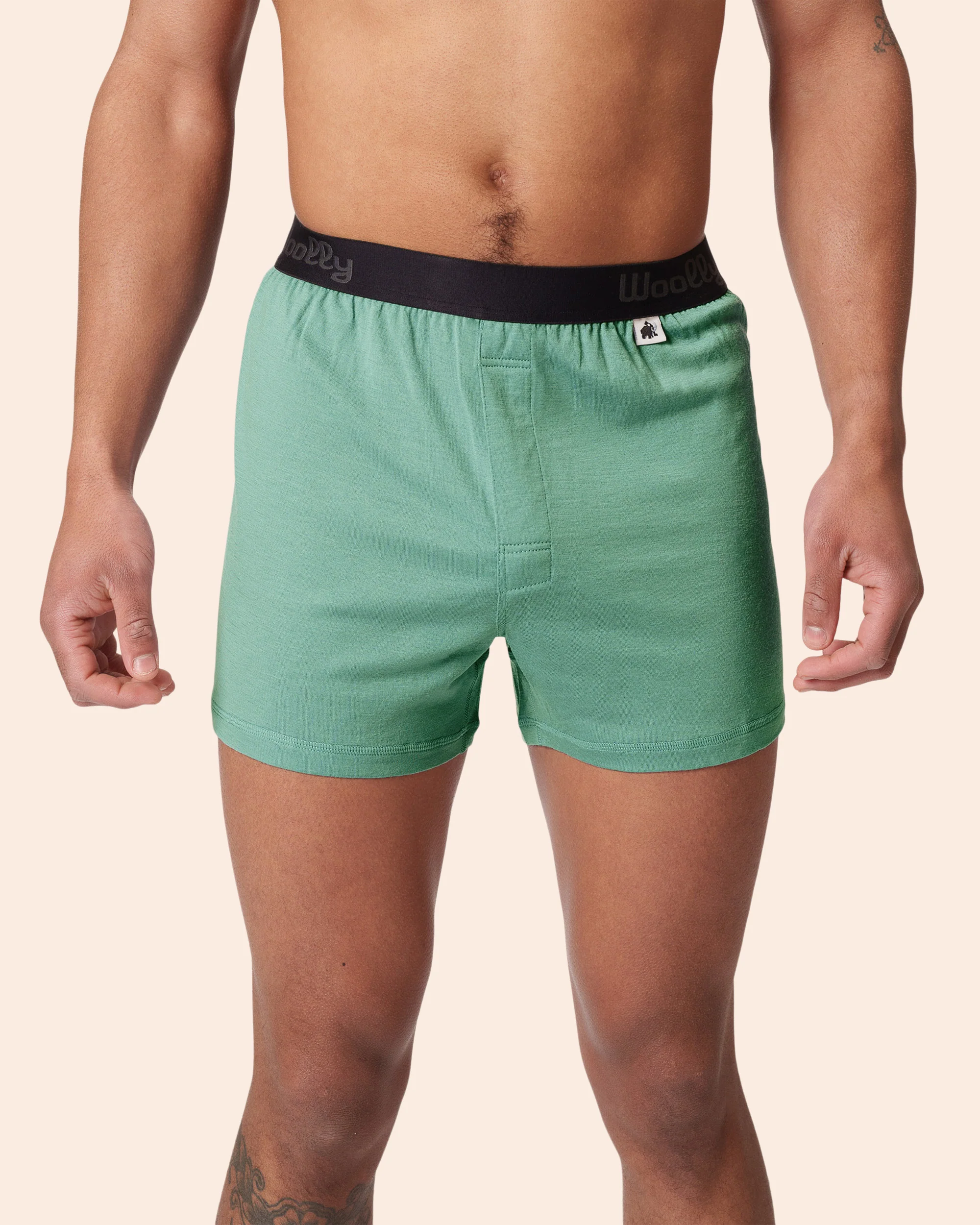 Classic Boxer - Image 12