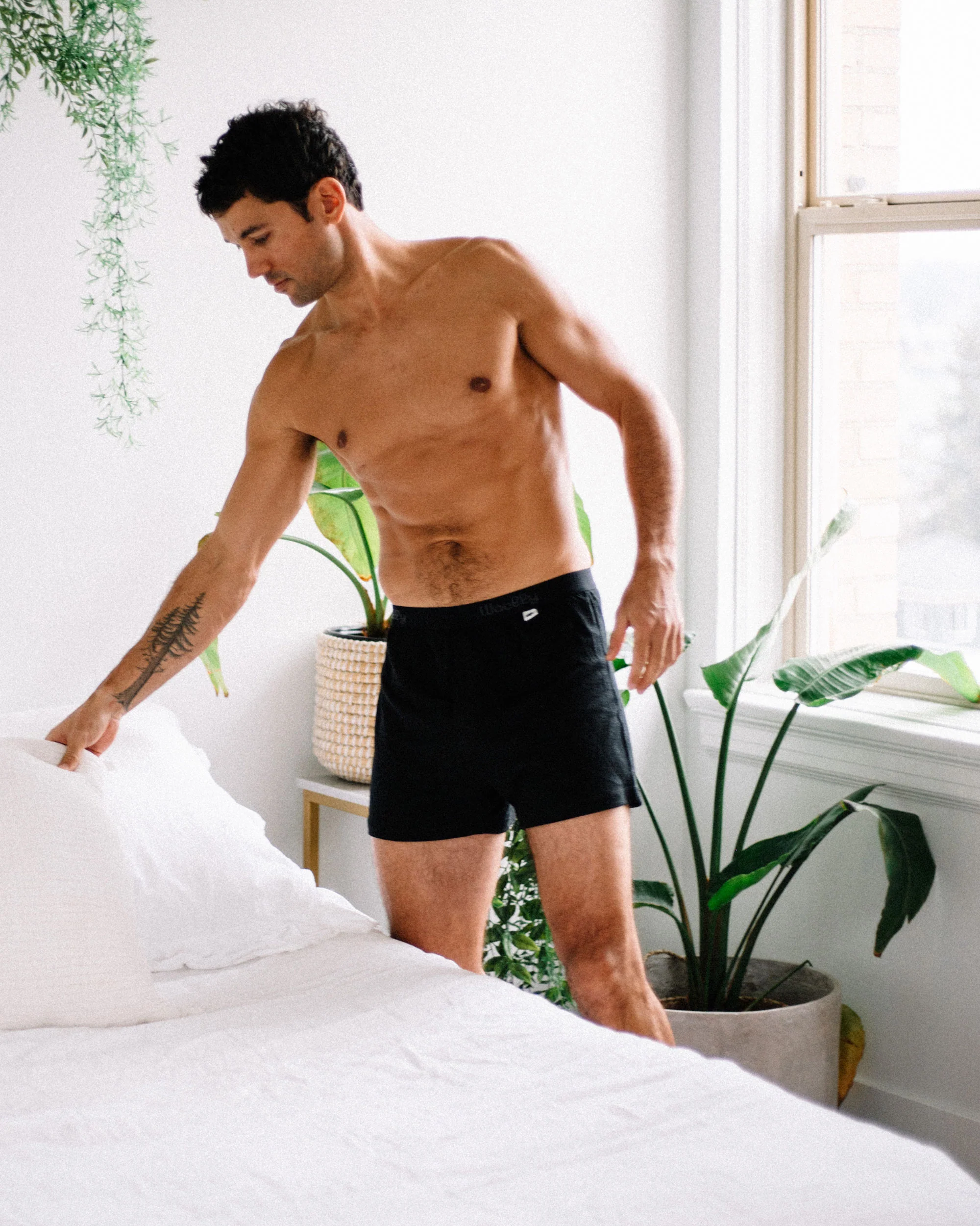 Classic Boxer - Image 14