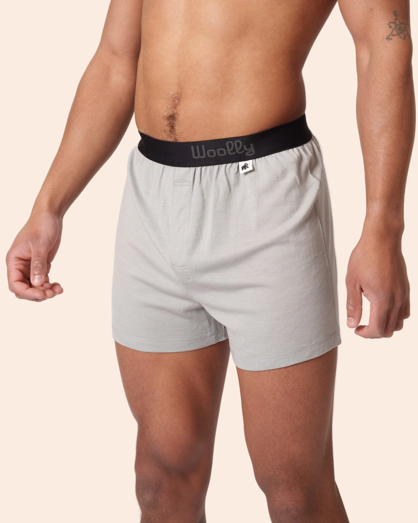 Classic Boxer - Image 5