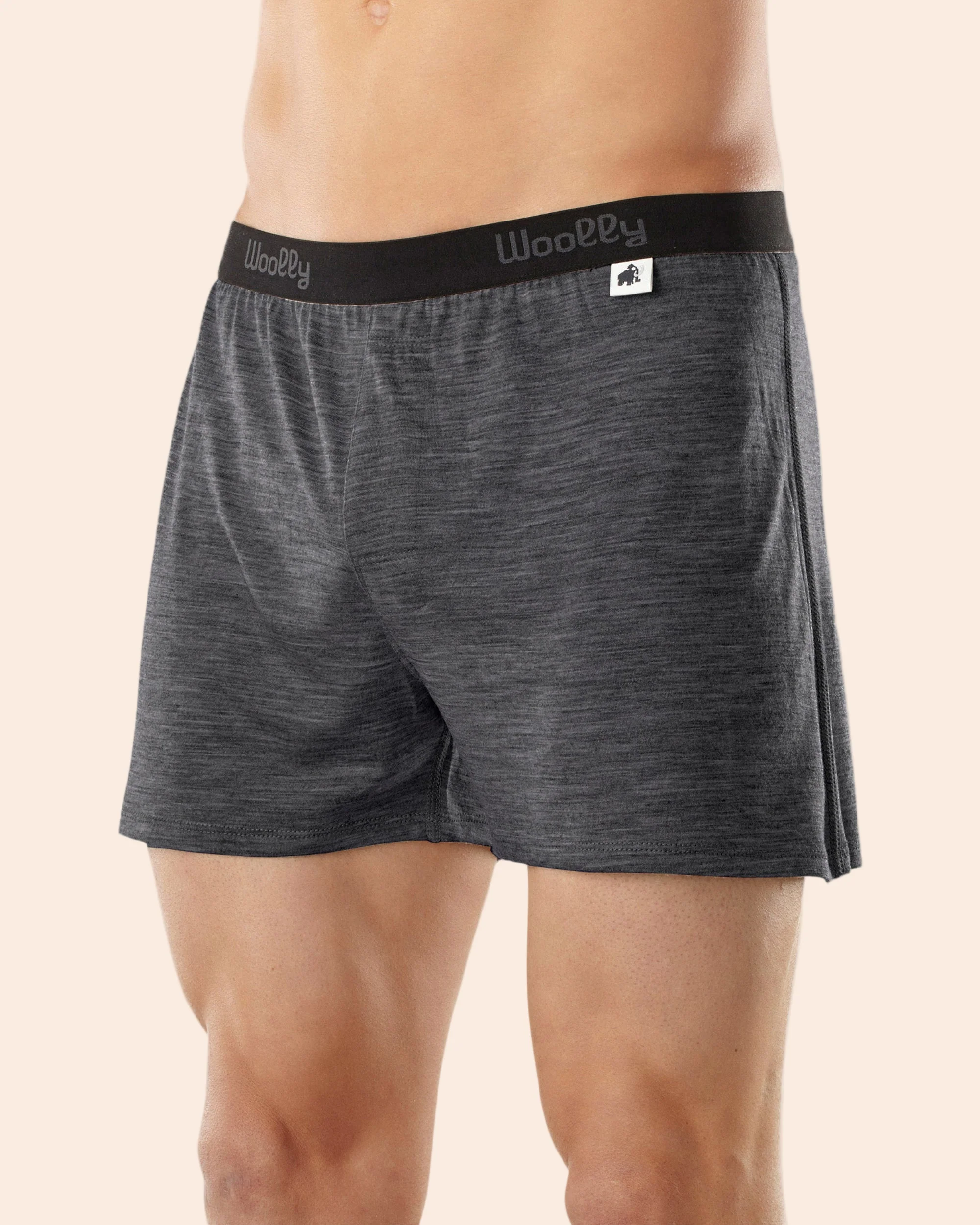 Classic Boxer - Image 9