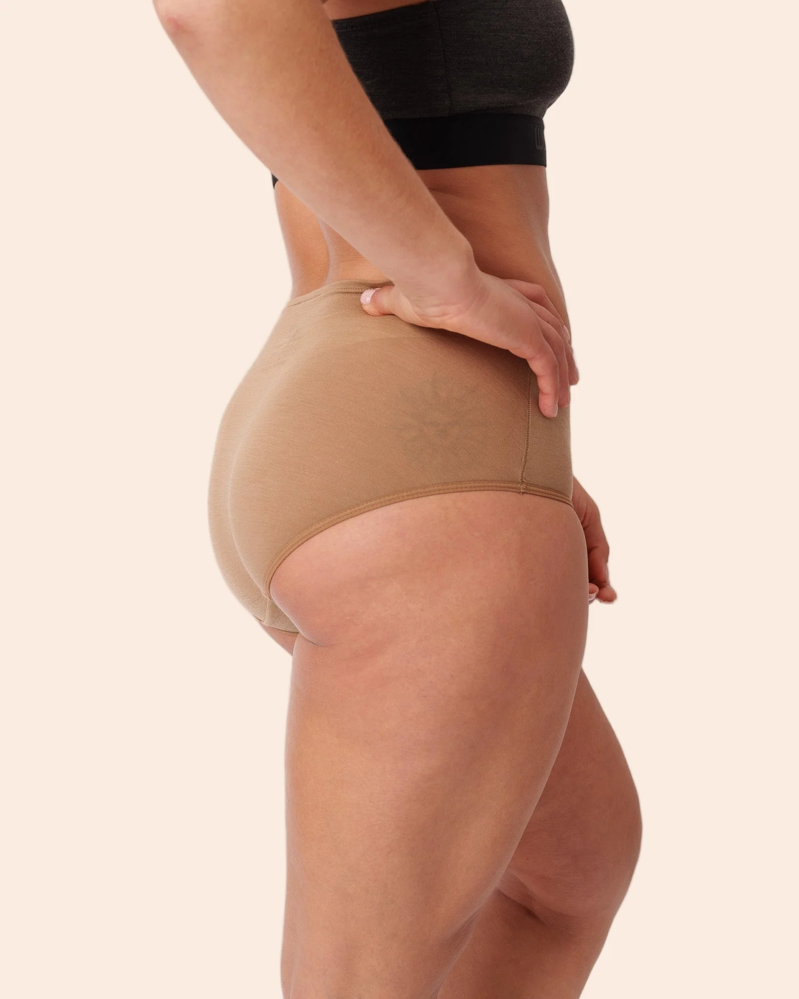 High Waisted Bikini Brief - Image 20