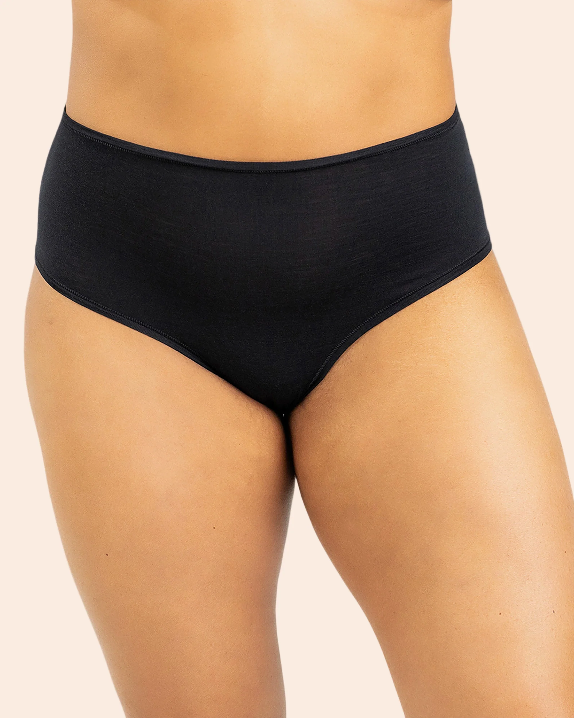 High Waisted Bikini Brief - Image 22