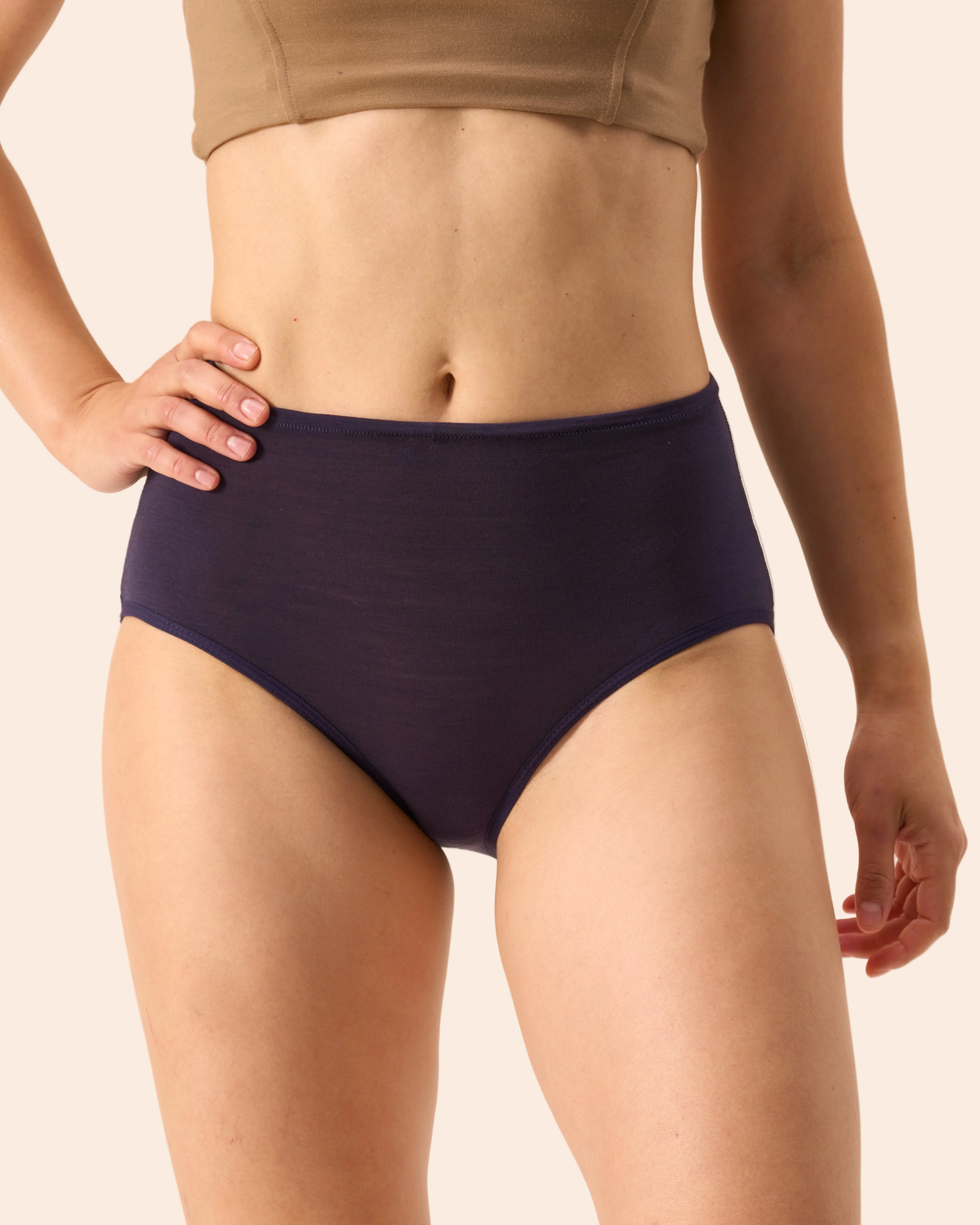 High Waisted Bikini Brief - Image 23