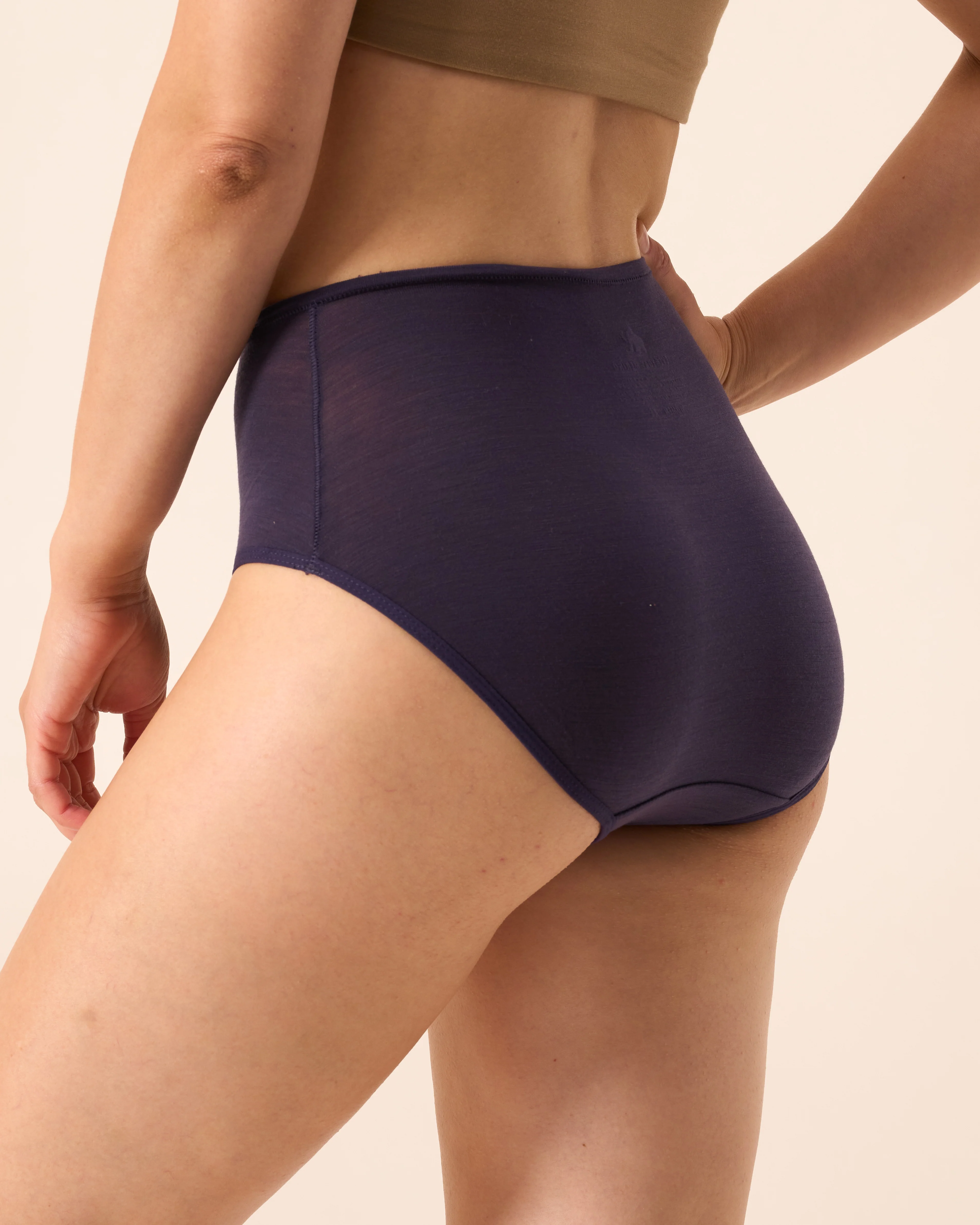 High Waisted Bikini Brief - Image 25