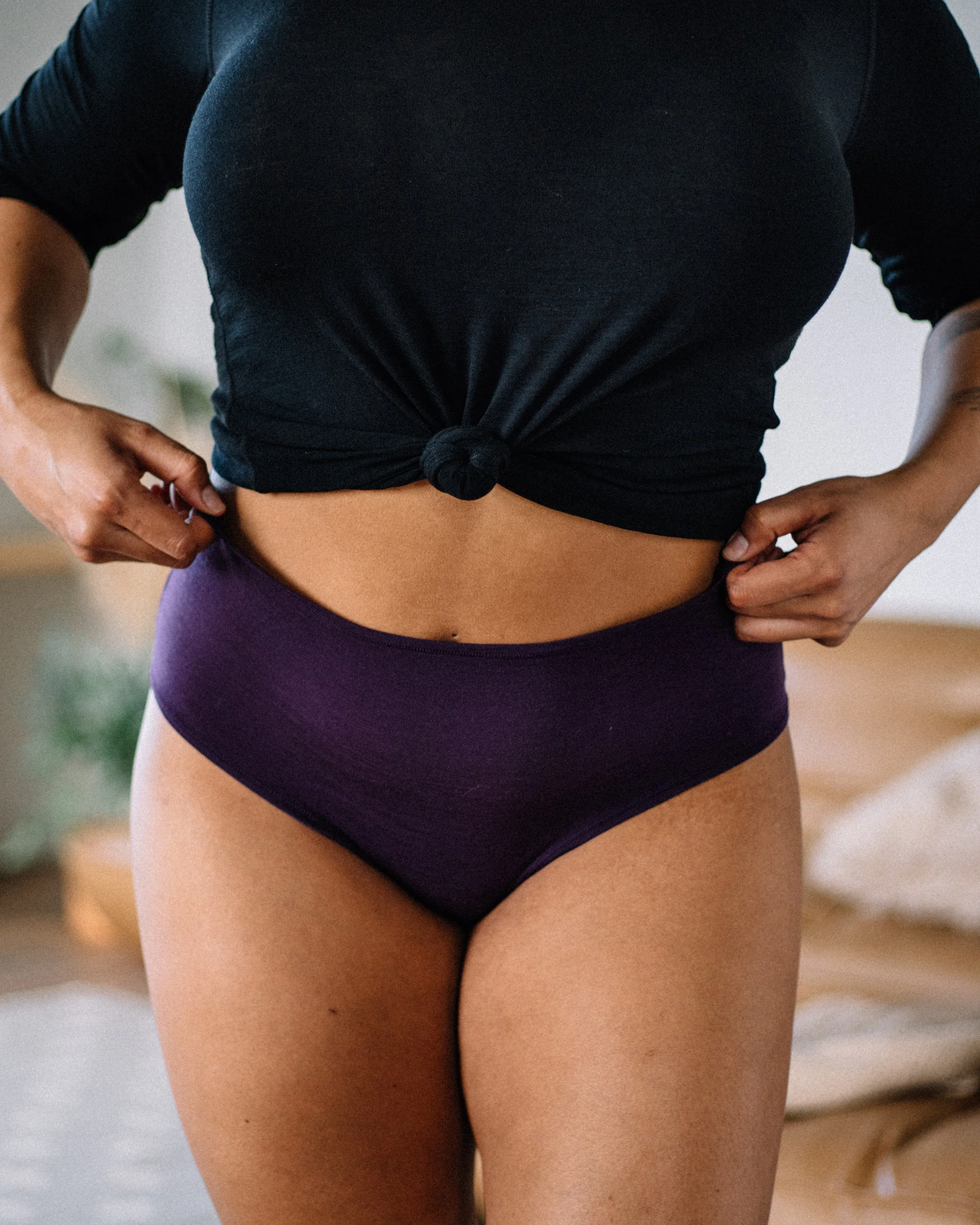 High Waisted Bikini Brief - Image 26