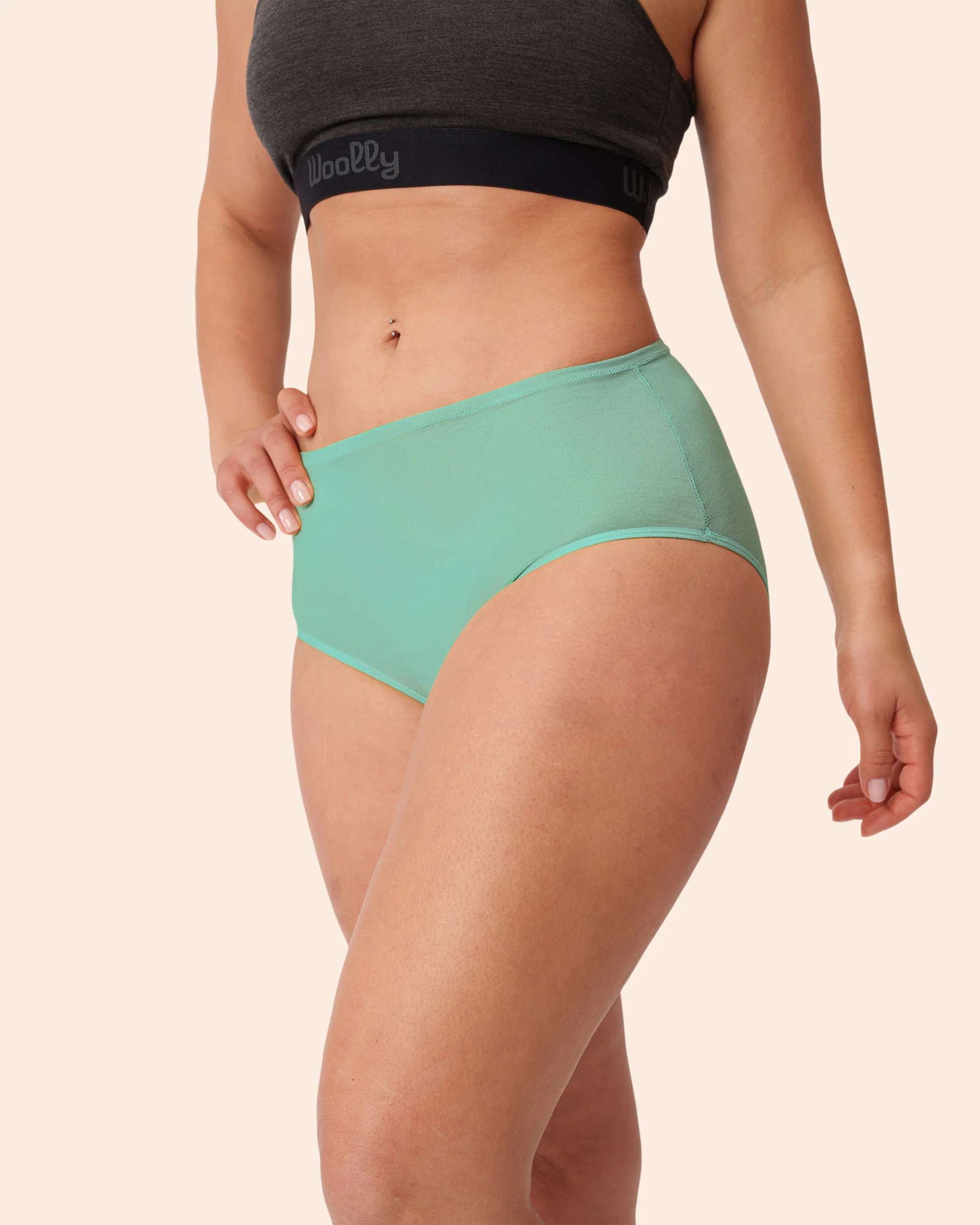 High Waisted Bikini Brief - Image 28