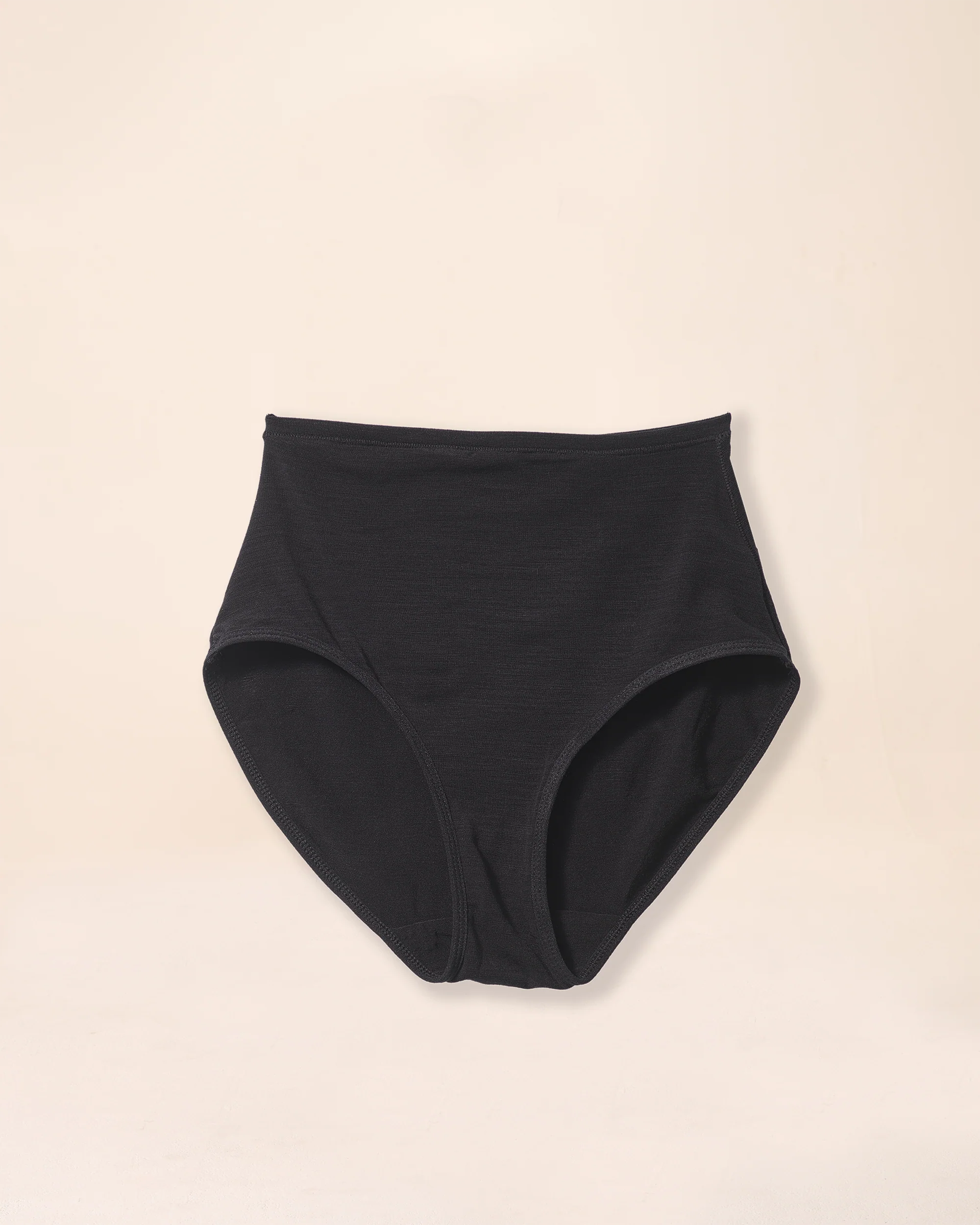 High Waisted Bikini Brief - Image 3